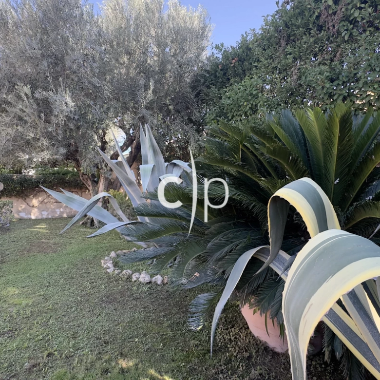 780