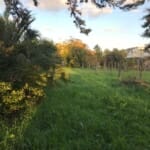 Terreno Fiumicino Parco Leonardo